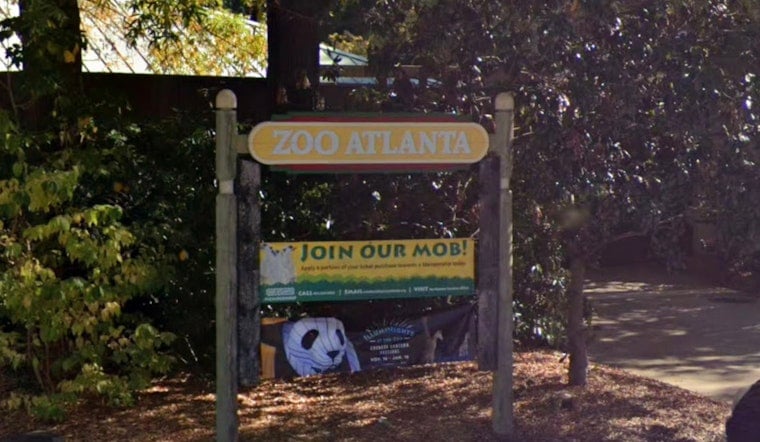 Grant Park Gets A New Chill As Zoo Atlanta Scoops Up Ben & Jerry’s