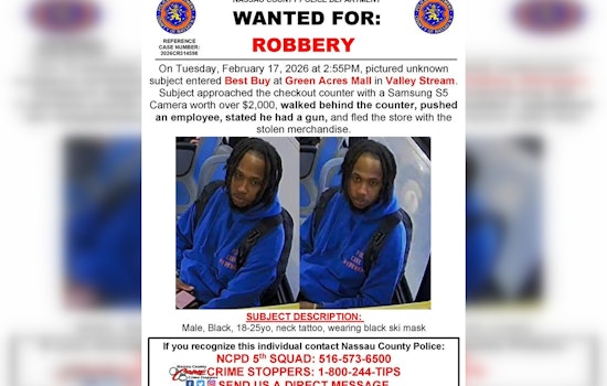 Green Acres Mall Heist: Cops Hunt Masked Suspect In Best Buy Camera Grab