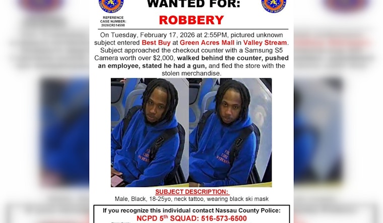 Green Acres Mall Heist: Cops Hunt Masked Suspect In Best Buy Camera Grab