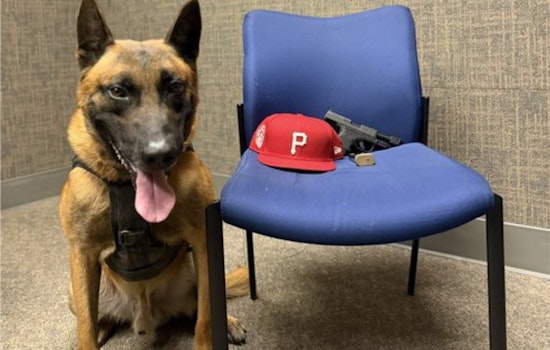 Guerneville Road Traffic Stop Turns Up Tricked-Out Pistol, Puts Two Santa Rosa Men In Cuffs