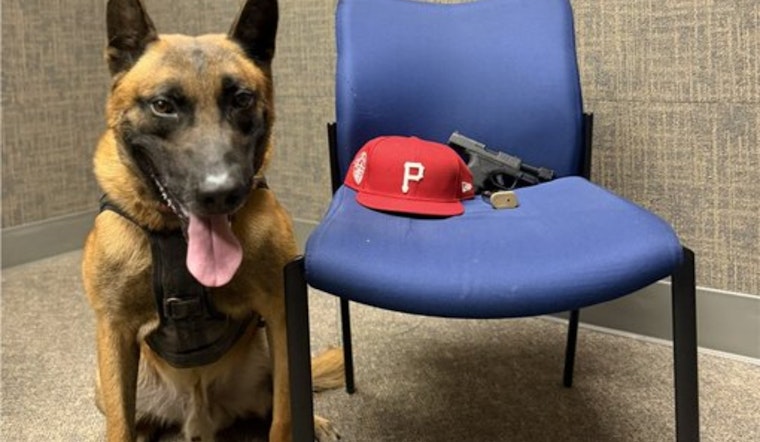 Guerneville Road Traffic Stop Turns Up Tricked-Out Pistol, Puts Two Santa Rosa Men In Cuffs