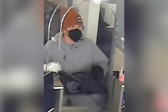 Gun Drama At Ann Arbor Chase Bank Leaves Suspect Facing Life
