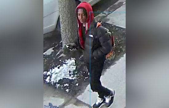 Gunman Sought After Daylight Dorchester Stickup Near Adams and Whitten