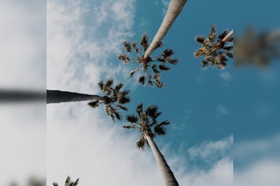 Gusty Santa Ana Winds Rattle Downtown Los Angeles