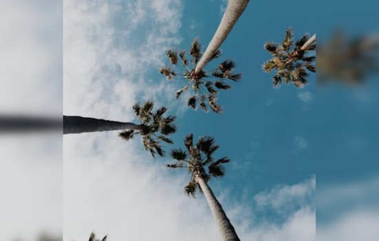 Gusty Santa Ana Winds Rattle Downtown Los Angeles