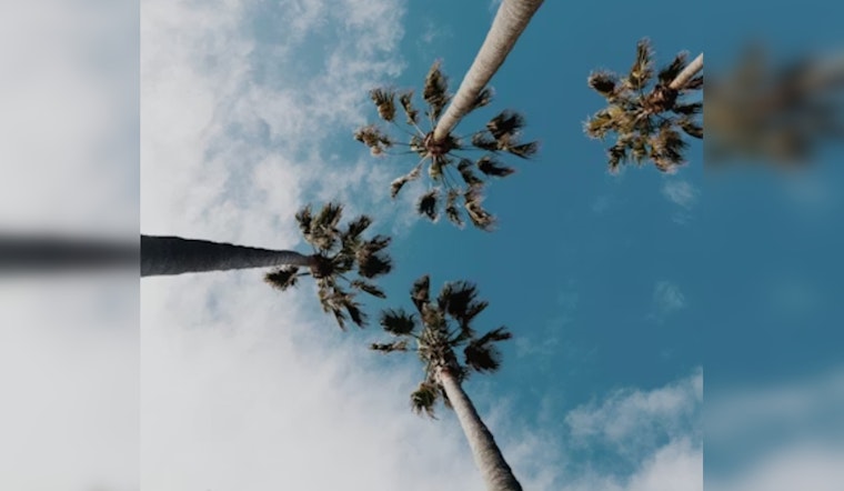 Gusty Santa Ana Winds Rattle Downtown Los Angeles