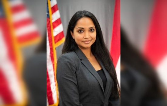 Gwinnett Firebrand Nabilah Parkes Crashes Georgia Lieutenant Governor Race