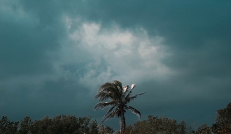 Hail, Howling Winds Target Fort Lauderdale in Afternoon Storm Surge