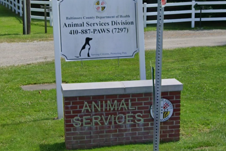 Halethorpe ‘House Of Horrors’ Raided Again As 42 Animals Rescued