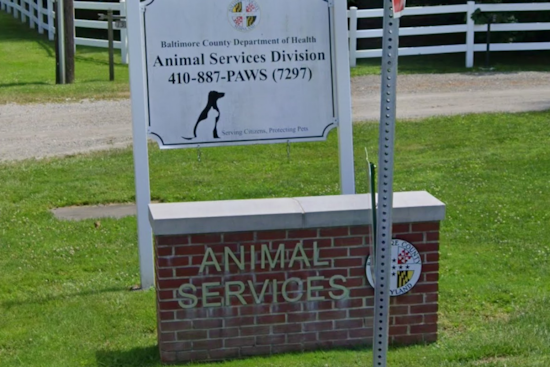Halethorpe ‘House Of Horrors’ Raided Again As 42 Animals Rescued