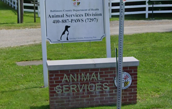 Halethorpe ‘House Of Horrors’ Raided Again As 42 Animals Rescued
