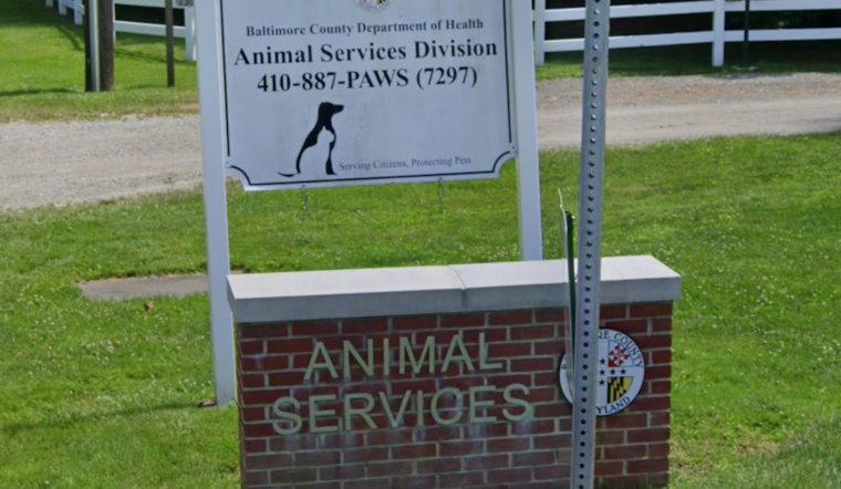 Halethorpe ‘House Of Horrors’ Raided Again As 42 Animals Rescued
