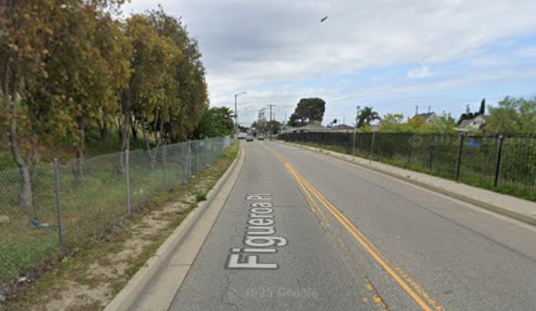 Harbor City Brush Fire Knocked Down Near Figueroa