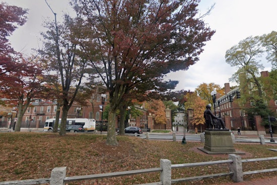 Harvard Dean Backs Down In Campus Window Sign Showdown