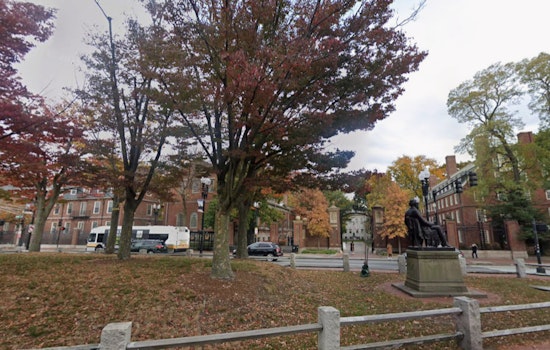 Harvard Dean Backs Down In Campus Window Sign Showdown