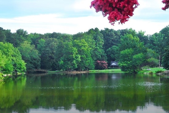 Headless Birds In Floating Bags Rattle Lake Avondale Community