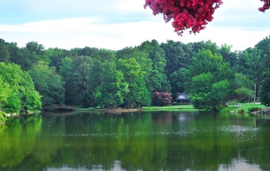 Headless Birds In Floating Bags Rattle Lake Avondale Community