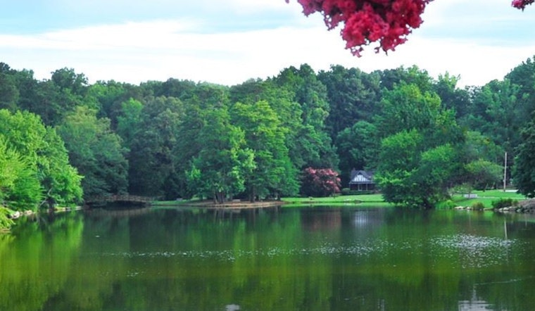 Headless Birds In Floating Bags Rattle Lake Avondale Community