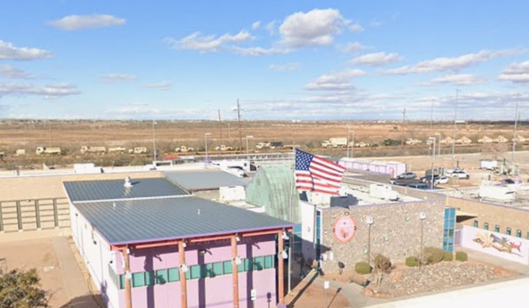 Heat Hits El Paso As Pet Cops Pile On Nearly 300 Citations