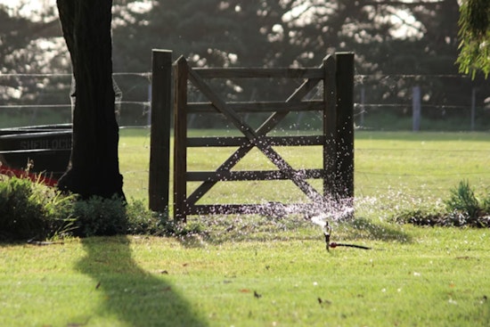 Henderson Shells Out Cash For Residents To Ditch Their Grass