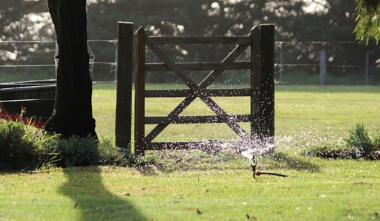 Henderson Shells Out Cash For Residents To Ditch Their Grass