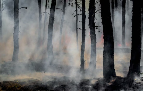 Henshaw Fire Flares On Private Land Near Lake Henshaw