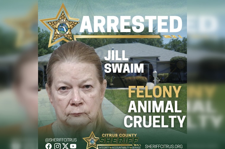 Hernando Cat Rescuer Busted After 52 Felines Found Living In Filth