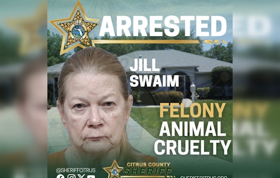 Hernando Cat Rescuer Busted After 52 Felines Found Living In Filth