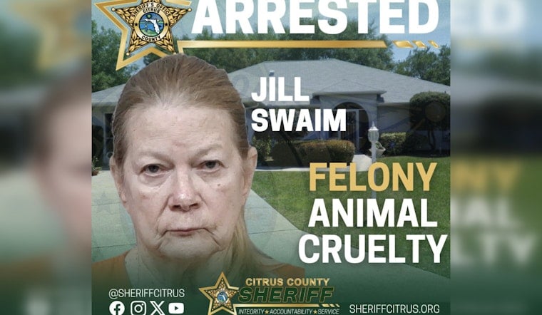 Hernando Cat Rescuer Busted After 52 Felines Found Living In Filth