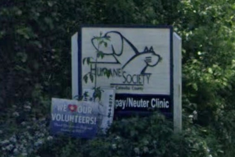 Hickory Howls as Humane Society Hires Embattled Shelter Boss