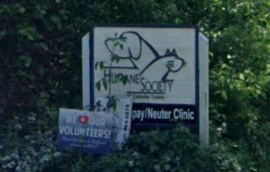 Hickory Howls as Humane Society Hires Embattled Shelter Boss