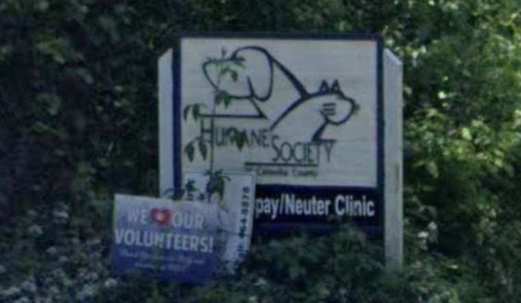 Hickory Howls as Humane Society Hires Embattled Shelter Boss