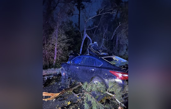Highway 111 Turns Into Tree Trap as EF-0 Twister Clips Grady County