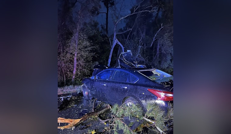 Highway 111 Turns Into Tree Trap as EF-0 Twister Clips Grady County
