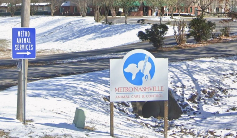 Hoarding Bust Packs Nashville Shelter To The Rafters