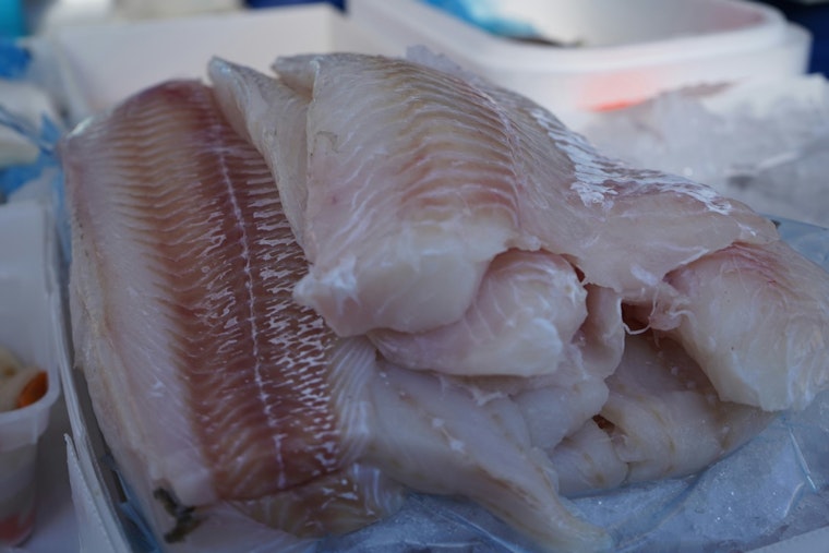 Holy Mackerel: Jacksonville Shrimp And Cod Prices Jump This Lent
