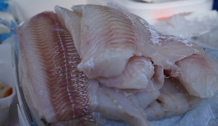 Holy Mackerel: Jacksonville Shrimp And Cod Prices Jump This Lent