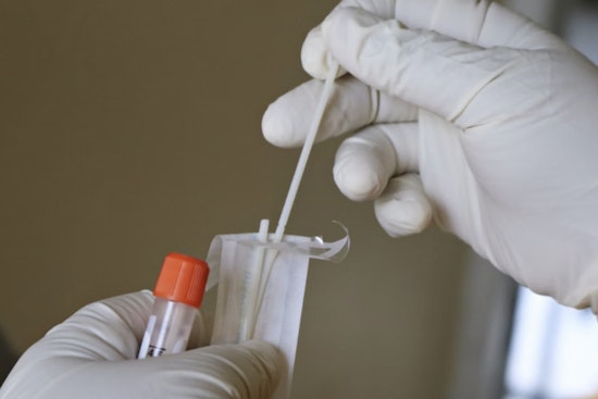Honolulu Kidney Charity Cashed In on Covid Tests, Records Show