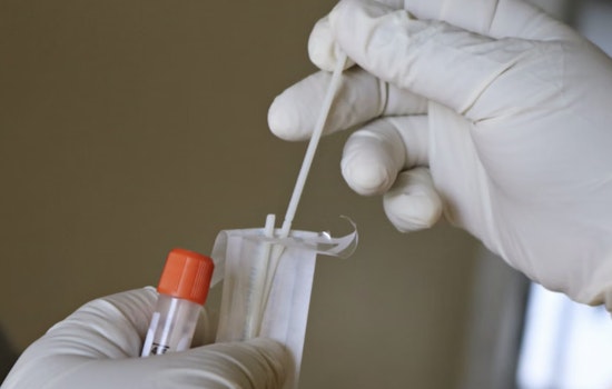 Honolulu Kidney Charity Cashed In on Covid Tests, Records Show