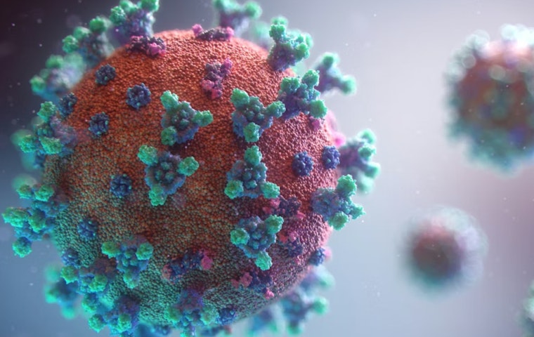 Hormel Institute Helps Map Antibodies That Could Fight Polio