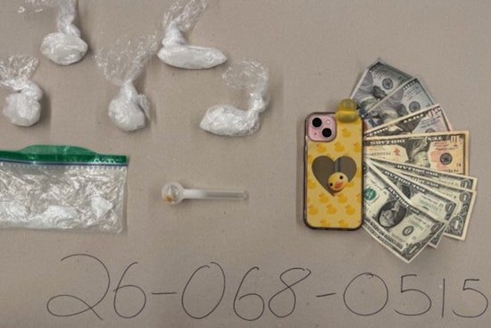 Housing Worker Nabbed In San Jose Meth Bust Near Branham