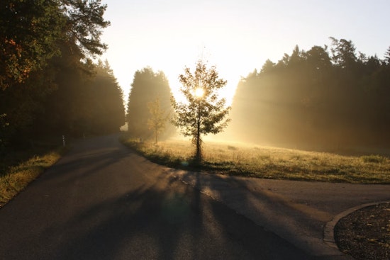 Houston Wakes In A Fog, Then Bakes In Warm, Windy Afternoon