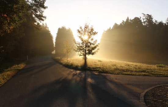 Houston Wakes In A Fog, Then Bakes In Warm, Windy Afternoon