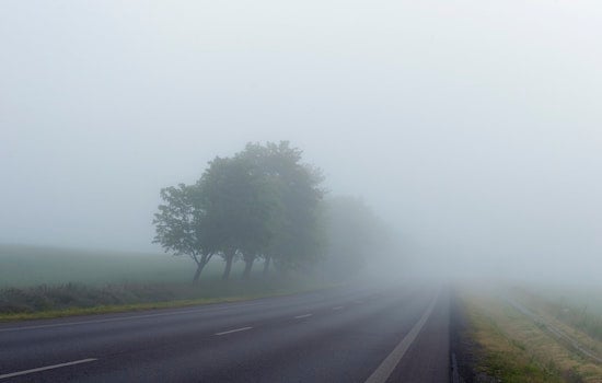 Houston Wakes Up In A Fog, Then Cranks Up The 80-Degree Sunshine