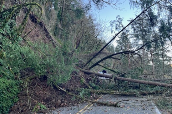 Huge Landslide Shuts NW Cornell, Bird Alliance Cut Off From East