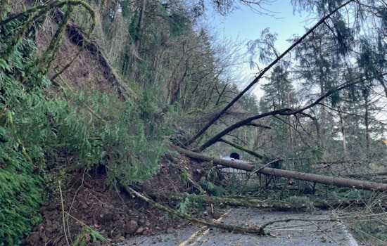 Huge Landslide Shuts NW Cornell, Bird Alliance Cut Off From East