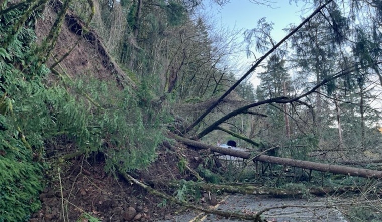 Huge Landslide Shuts NW Cornell, Bird Alliance Cut Off From East