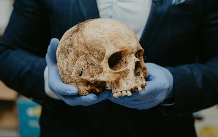 Human Skull Found in Mokena Field Sparks Investigation