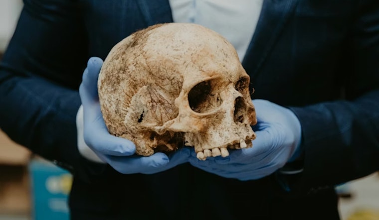 Human Skull Found in Mokena Field Sparks Investigation
