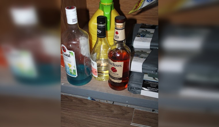 IMPD Busts Packed West Side Teen Bash, Nabs Two Young Promoters